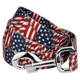 Country Brook Design - 1 Inch Patriotic Tribute Leash - Americana Collection with 6 Patriotic Designs (6 Foot)