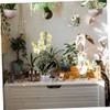 BESPORTBLE 2sets Transparent Orchid Pots with Drainage and Saucers Breathable