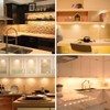 BOGAO G8 Halogen Light Bulbs 20Watt 120Volt Halogen Light Bulb