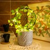 2 Pcs 14in Indoor Metal Garden Circle Plant Trellis for