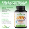 DHEA 100mg Daily Supplement for Men and Women – Promotes