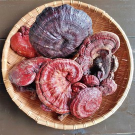 Jiri Mountain Natural Wild Reishi Mushroom Dried Reishi Mushroom Tea Domestic 200g / 지리산 자연산 야생 영지버섯 말린 건조 영지 버섯 차 국산 200g
