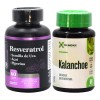 Resveratrol + Kalanchoe | Antioxidante E Inmunidad | Momosie