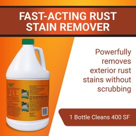 American Hydro Systems 2662 Rid O' Rust Liquid Rust Stain Remover, 1 Gallon, 2 Pack