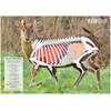 BushWear Muntjac Target Posters (4 pack) Targets (73978)
