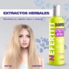 Shampoo De Hierbas Cabello Dañado Nefertiti 300ml