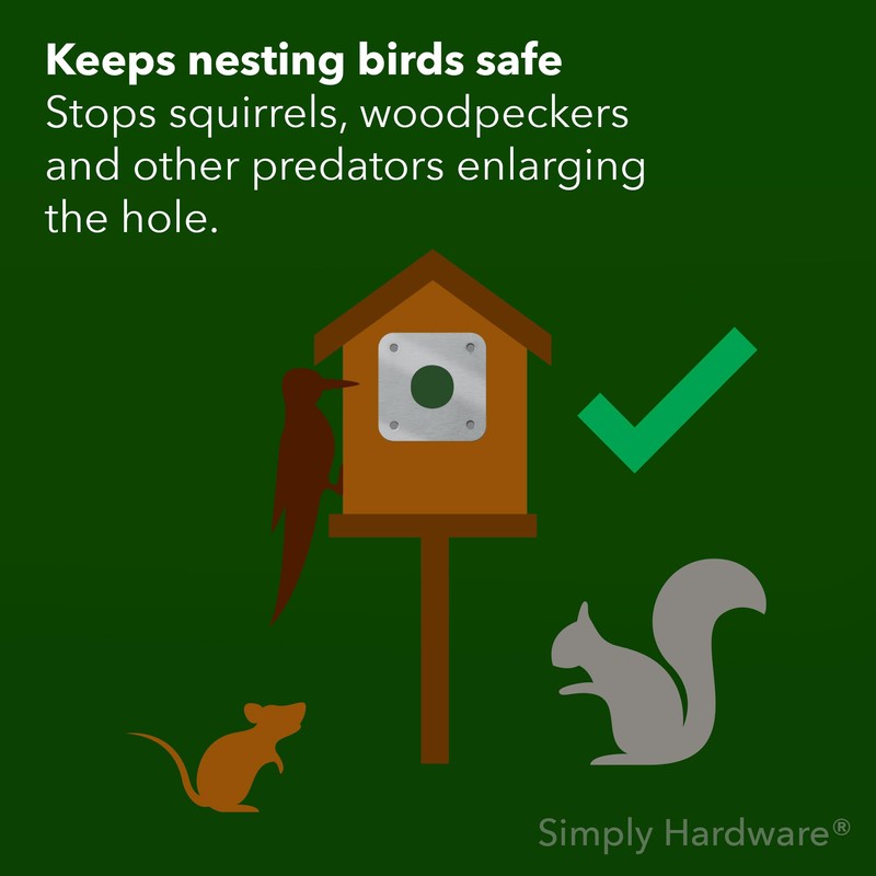 Simply Hardware Satin Stainless Steel Bird Box Protector / Nest