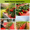 NRWRTY 4 Mil Red Plastic Mulch, 4 X 50 FT