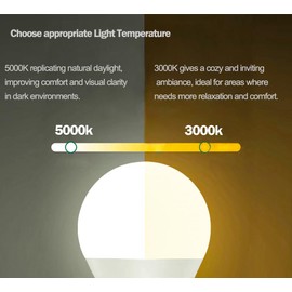 Wirleben AC/DC12V LED Light Bulb 3W Warmwhite, Low Voltage DC12V 48V 60V E26 Light Bulb for Outdoor Post/Porch Lamp,Off Gird Cabin Lights,RV,Boat,Camping Lights, 4-Pack (Warmwhite)