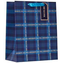 Design by Violet Blue ‘For A Wonderful Dad’ Gift Bag with Gift Tag for Father’s Day, Birthday, Occasion, For Dad, Gift Wrap, Best Dad Ever, Tartan Design - Large Size