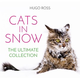 Cats in Snow: The Ultimate Collection