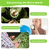 12 Pack 10X Magnifying Glass, 60mm Handheld Reading Magnifier for