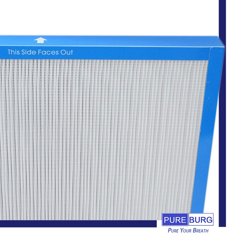 PUREBURG 2-Pack Replacement True HEPA Air Filter Compatible with HoMedics