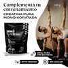 B-FIT Just Creatine Creatina Monohidratada Pura en polvo sin sabor-