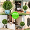 Artificial Cedar Topiary Tree with Planting Stakes, Indoor and Outdoor