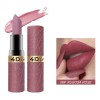 Clásico Mate Labial Set Duradero Resistente Al Agua