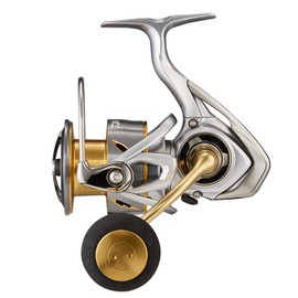 Daiwa LT5000-CXH 21 Freams Spinning Reel