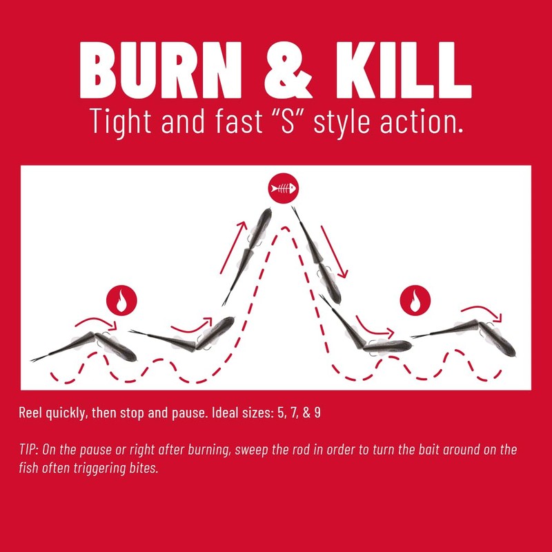 PowerBait Nessie-Box-Perch-