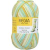Schachenmayr Regia Cotton Colour, 100 g Fever Hand Knitting Yarn