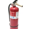 First Alert NEW First Alert Fire Extinguisher, Model FE2A10GR -