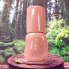 Puy Moist Naturally Derived 3D Voluming Gloss 70 No. 1 Vanilla 1 5.3g / 퓌 촉촉함 자연유래 3D 볼류밍 글로스 70 1호 바닐라 1개 5.3g