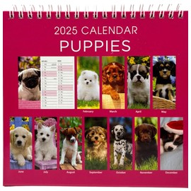 2025 Month to View Desktop Calendar Home Office Table Work Top Planner Organiser (Puppy)