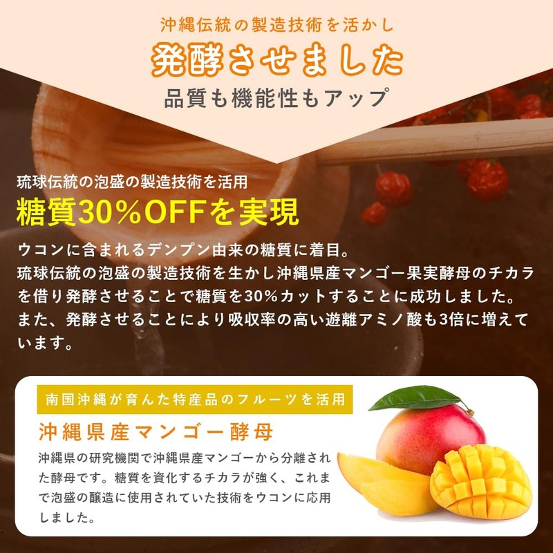 REIKO ウコン サプリメント クルクミン 醗酵三種 秋ウコン 春ウコン 紫ウコン 30日分 無添加