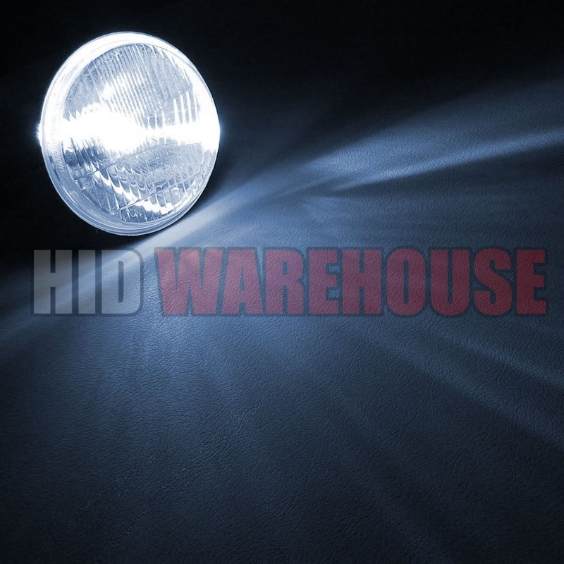 HID-Warehouse HID Xenon Replacement Bulbs - H7 8000K - Medium