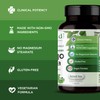 Emerald Labs Ginkgo Biloba 60 mg Extract - Supports Memory,