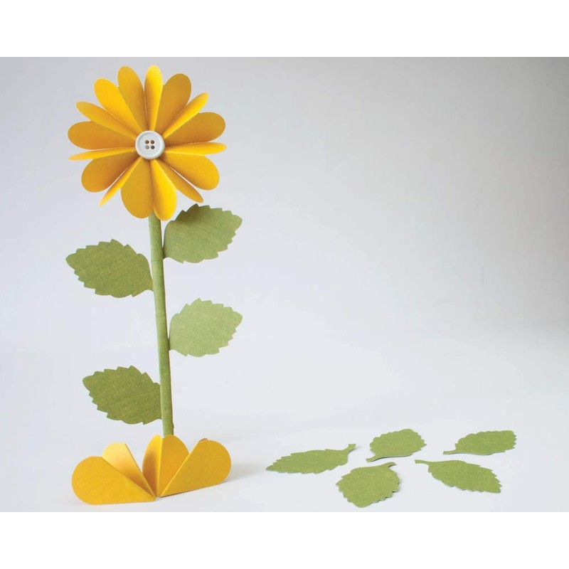 Punch Bunch SL4-BIRCH SlimLock Large Punch-Birch 2.25"X1.25"