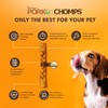 Pork Chomps Roasted Pork Skin Dog Chew, 10-inch Braid, 1
