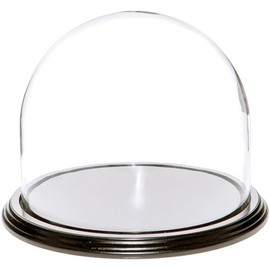 Plymor 8" x 6.5" Glass Display Dome Cloche (Black Wood Veneer Base)