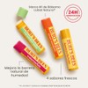 Burt's Bees Kit Freshly Picked Lip Balm 4 unidades
