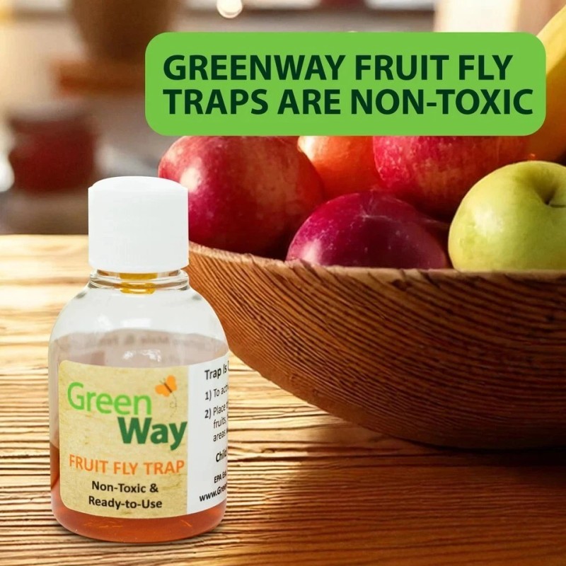 GreenWay Fruit Fly Trap Non-Toxic, Ready-to-Use, Long-Lasting