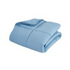 Down Alternative Comforter (Calm Blue, Queen) - All Season Comforter