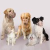 Basket Dog Muzzle for Large Medium Small Dogs, Cage Muzzles