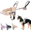BEAUTYZOO No Pull Small Dog Harness and Leash Set for
