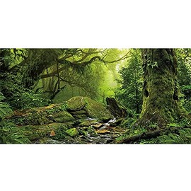 AWERT Tropical Forest Terrarium Background Stream Green Huge Tree Reptile Habitat Background Foggy Rainforest Aquarium Background 48x20 inches Durable Polyester Background