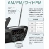 Greeshow Disaster Prevention Radio, Multi-functional Radio, Hand Crank, Flashlight, Portable