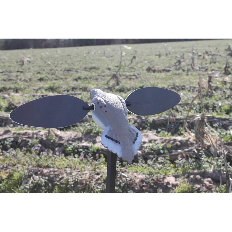 MOJO Outdoors Elite Series Dove Decoy – Ultra Realistic Motion