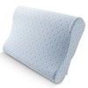 Arctic Sleep by Pure Rest MFP-073 Cool-Blue Memory Foam Contour