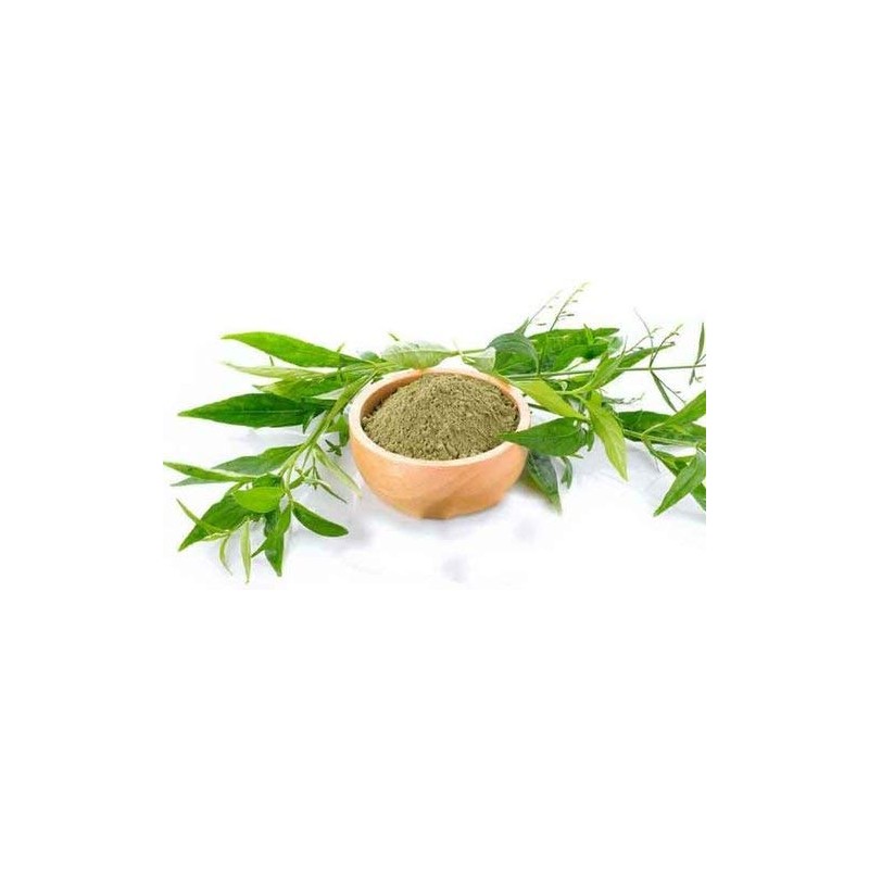 Yuktha Naturals Nilavembu Powder/Kalmegh/Siriyanangai/Andrographis paniculata - 200g/7 Oz