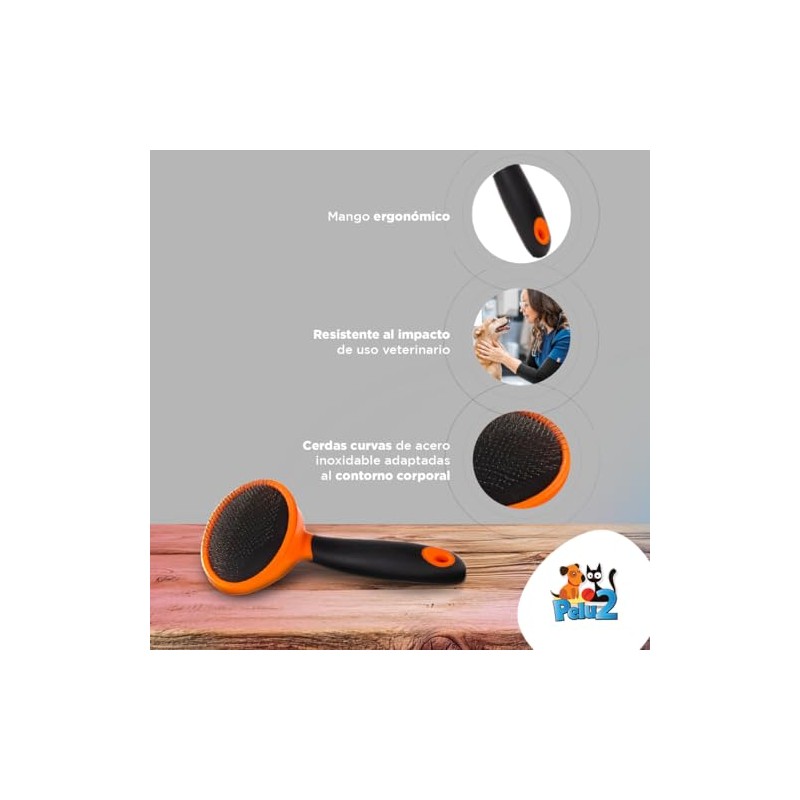 PM004 Carda Cerdas Curvas para Perros y Gatos