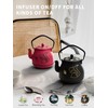 Toptier Teapot with Removable Infuser, Cast Iron Tea Kettle Stovetop