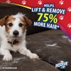 Resolve Pet Hair Eliminator Carpet Cleaner & Vacuum booster, peppermint