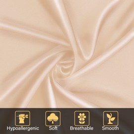 NOLRDR Mulberry Silk Pillowcase 2 Pack for Hair and Skin with Hidden Zipper,Both Sides 19 Momme Smooth and Breathable Silk Pillow Cases Set of 2 (Beige, Queen 20''×30'')