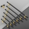 Asidrama 10 Pack Single Hole Center Matte Black and Gold
