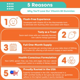 Kind Nature Vitamin B3 Niacin Gummies - Flush Free Niacinamide 500mg Supplement - Vegan, Non-GMO, Low-Calorie, Gluten-Free, Soy-Fee, 3rd Party Lab Tested - 1 Month Supply, 90 Chewable Gummies