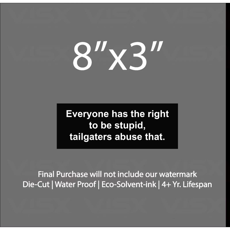 VISX Everyone has the right to be stupid Bumper Sticker