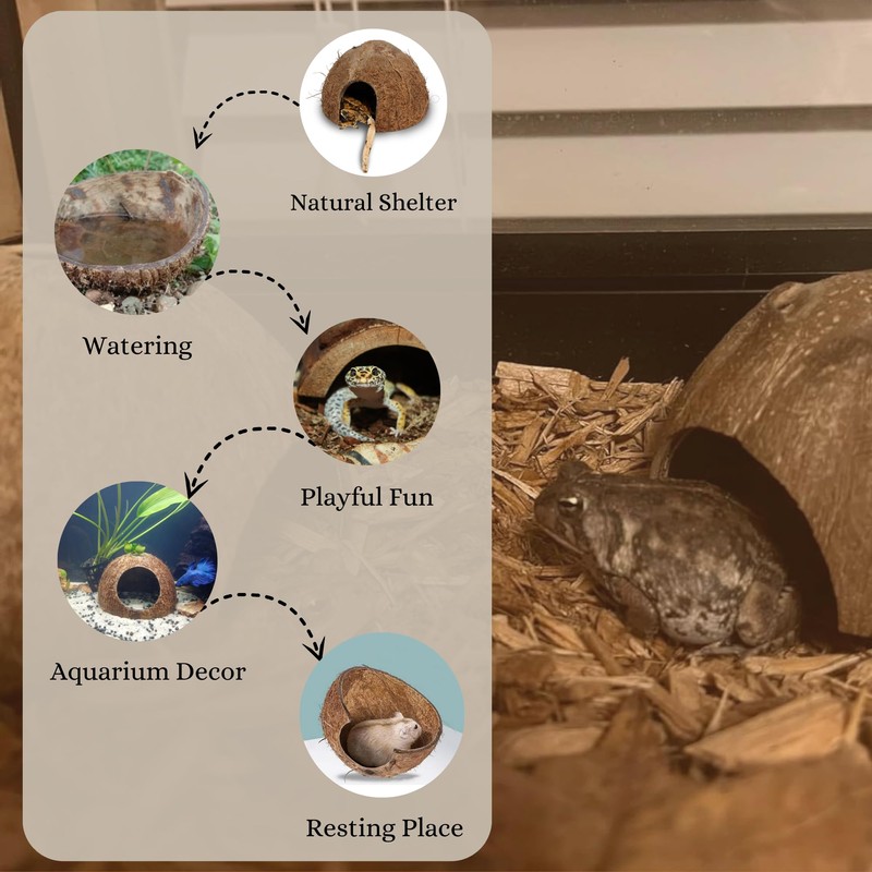 Favozio Natural Coconut Shell Hideout Cave, 5" Aquarium Fish &